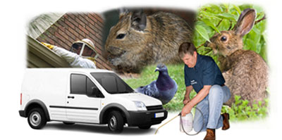 Wigan local van
